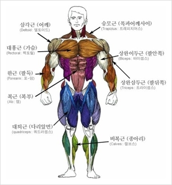 사용자 삽입 이미지