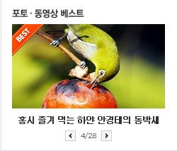 사용자 삽입 이미지